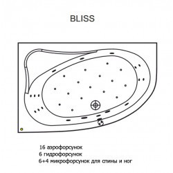 Гидромассажная ванна RIHO LYRA BLISS 170x110 R